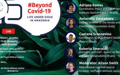 Beyond Covid-19: Life under siege in Amazonia