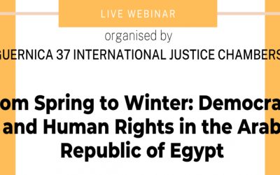 From Spring to Winter: Democracy and Human Rights in the Arab Republic of Egypt