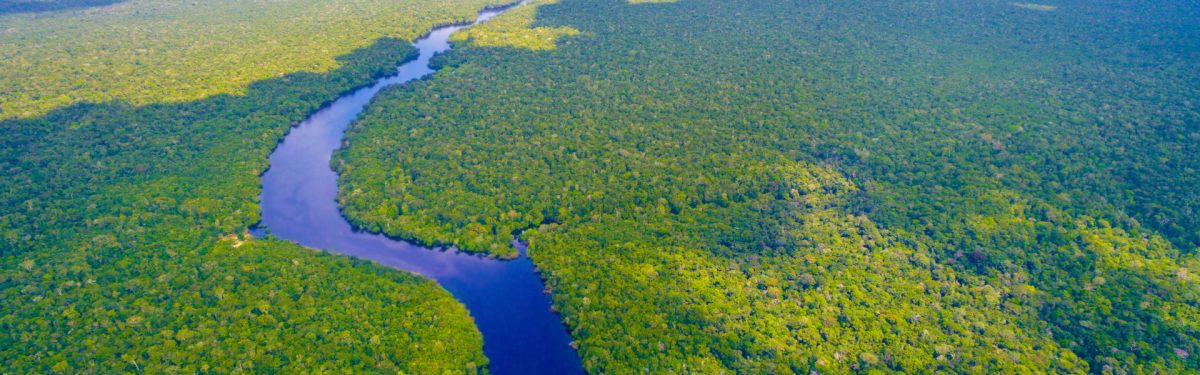 No impunity for Amazonia’s devastation