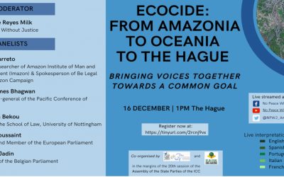 Side-event on “Ecocide: From Amazonia to Oceania to the Hague.