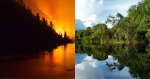 una foto divisa di un fiume e di un incendio boschivo.