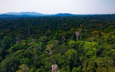 Giornata Internazionale dei Popoli Indigeni del Mondo