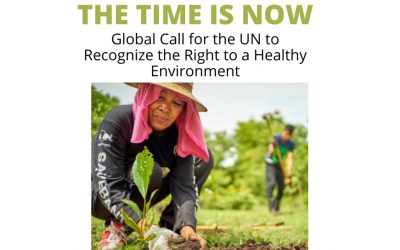 NPWJ joins Global Call for the UN to Recognize the Right to a Healthy Environment