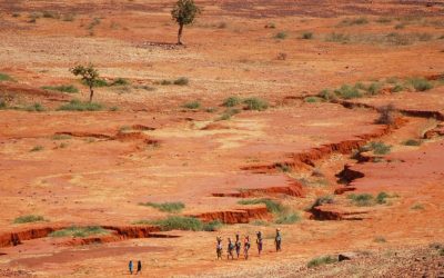 Colloque sur le Sahel: développement, gouvernance et droits humains