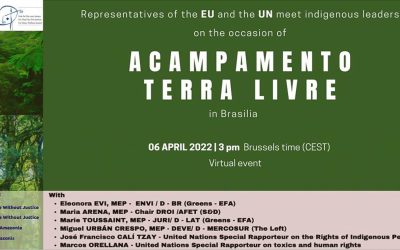 Acampamento Terra Livre: Representatives of the EU and the UN meet indigenous leaders in Brasilia in a virtual event