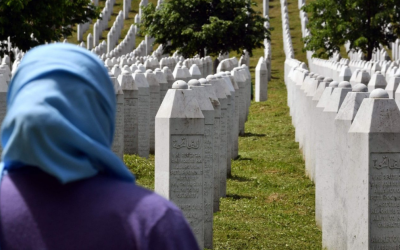 Negazione del genocidio di Srebrenica al Consiglio di Sicurezza delle Nazioni Unite