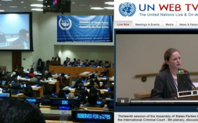 13th ICC Assembly of States Parties: Statement by No Peace Without Justice