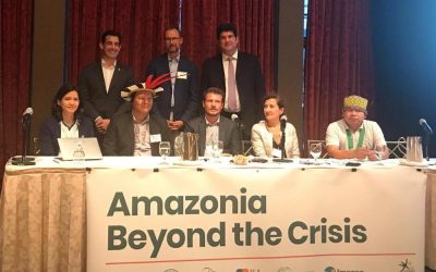 Amazonia Beyond the Crisis. Accountability for deforestation: preventing further human rights, environmental, and economic disasters