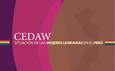 CEDAW: Peruvian and international NGOs present an alternative report concerning the rights of lesbian women in Peru