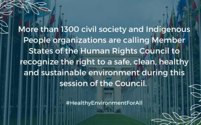 THE TIME IS NOW! Global Call for the UN Human Rights Council to urgently recognise the Right to a safe, clean, healthy and sustainable environment
