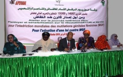 APEGDH and NPWJ organise a national workshop on “BANFGM: towards the elimination of female genital mutilation” in Mauritania