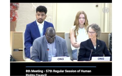 UN Human Rights Council / ID on Slavery: Statement delivered by Diko Hanoune on behalf of NPWJ